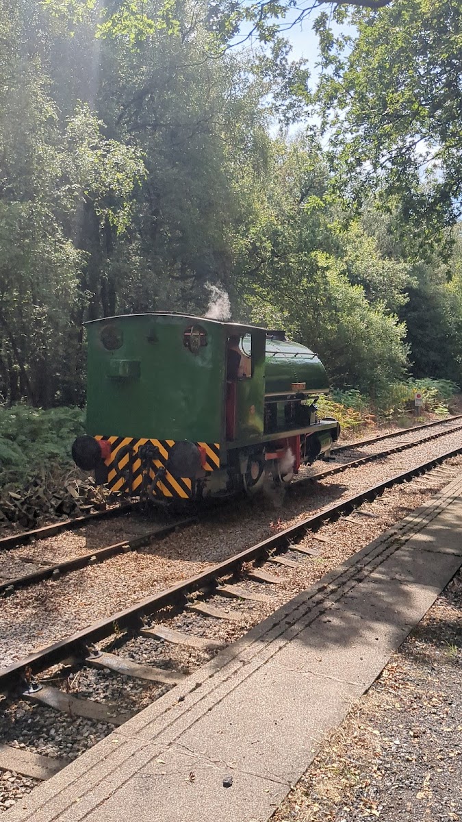 Foxfield Railway - (Dilhorne Park, Railway Station)