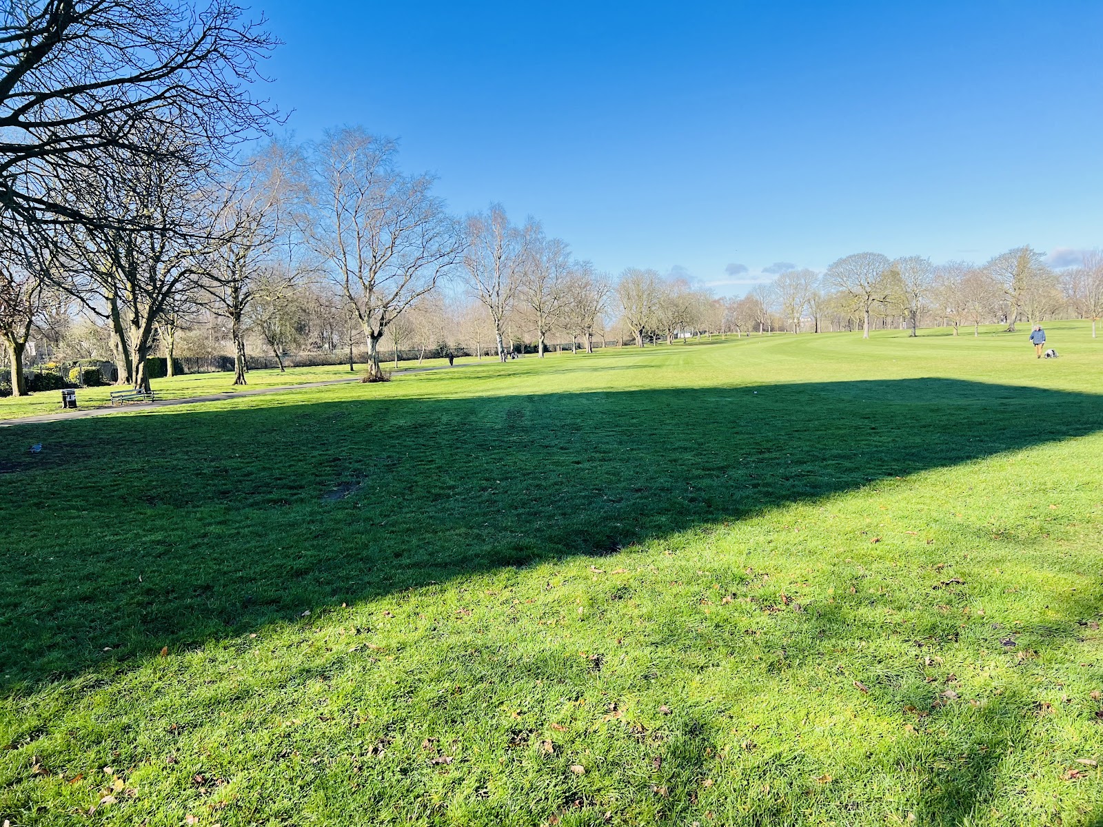 Play Park