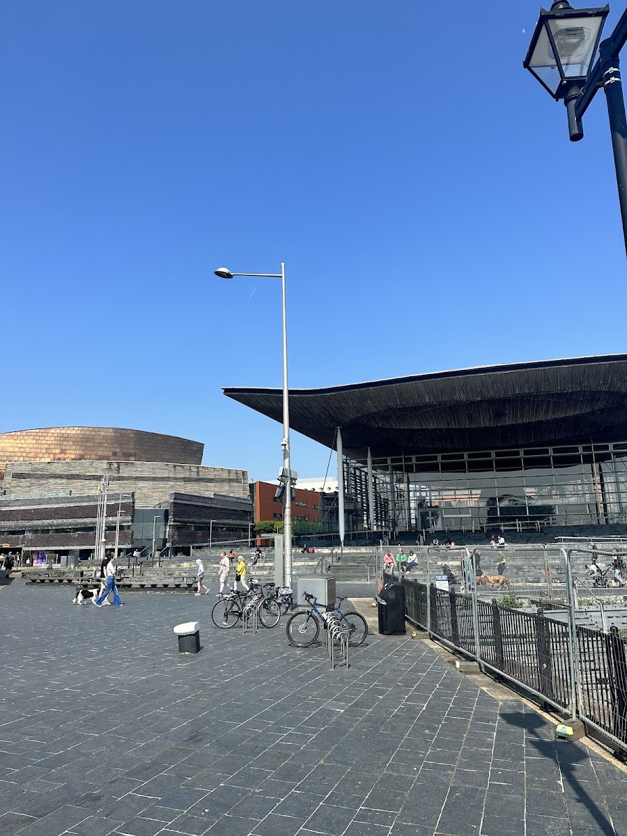 Roald Dahl Plass