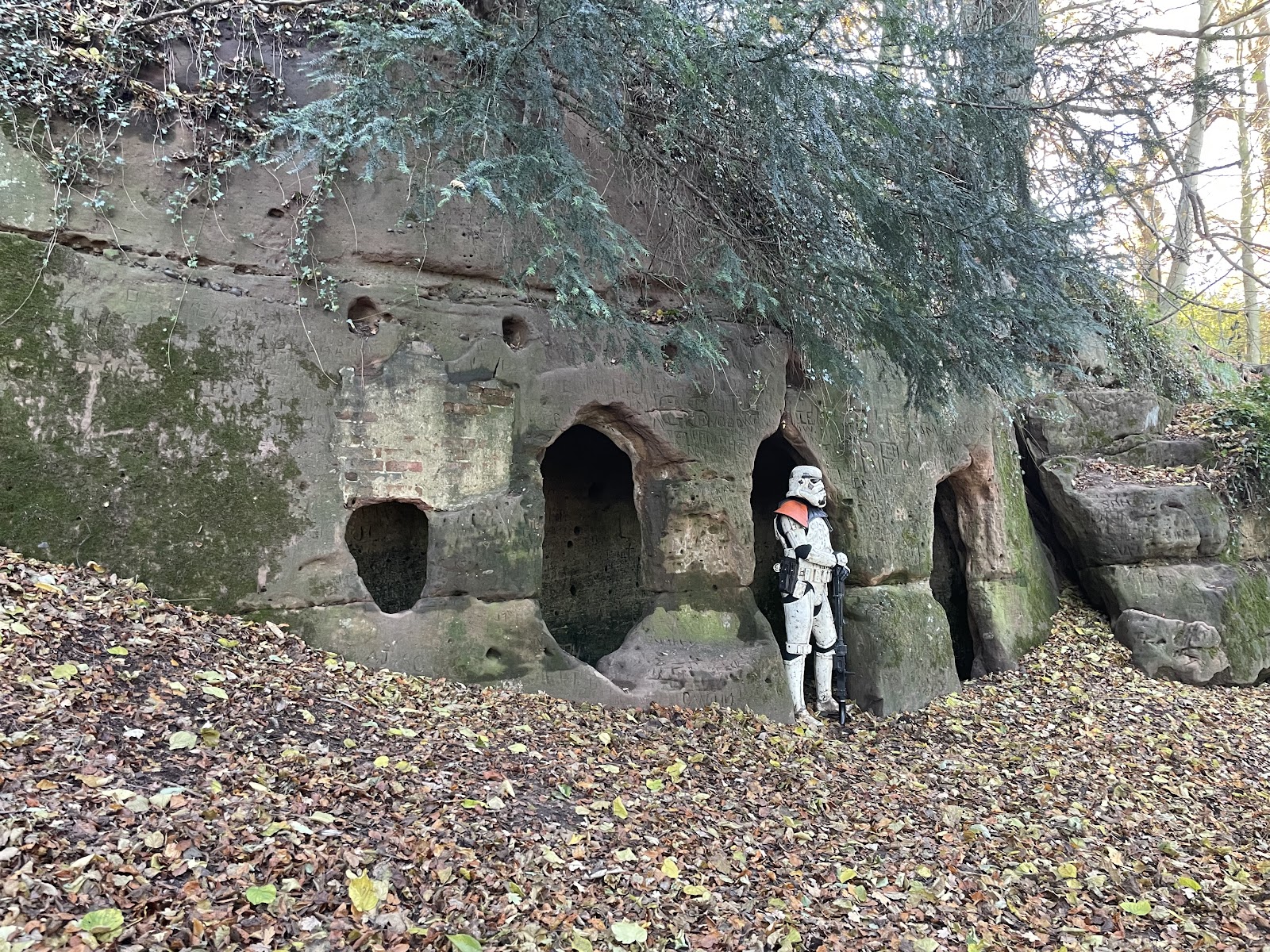 The Hermitage