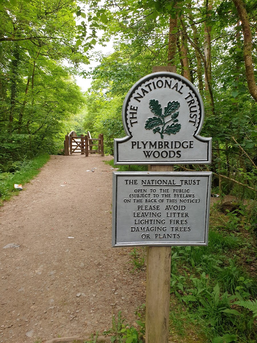 National Trust - Plymbridge Woods