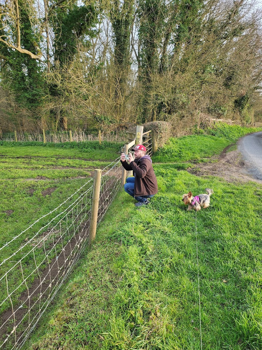 Site of Stanley Abbey