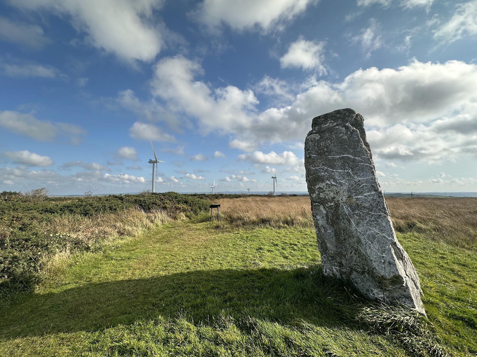 St Breock Downs Monolith