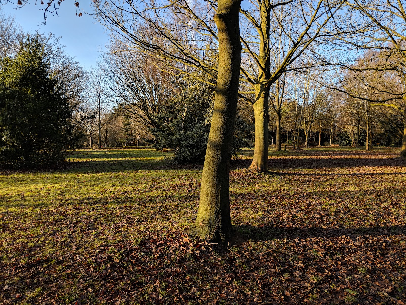 Shady Lane Arboretum