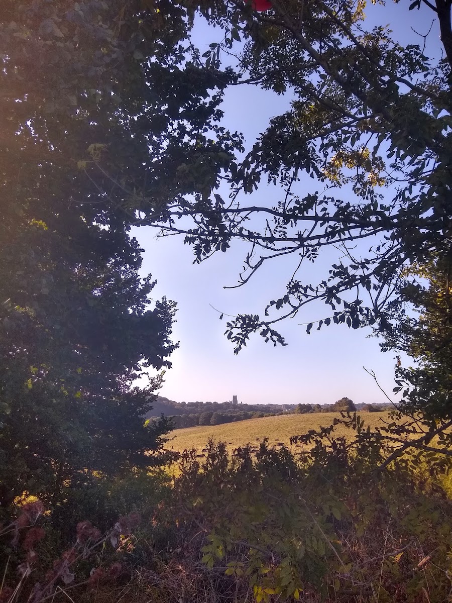 Shincliffe W.I. Hut