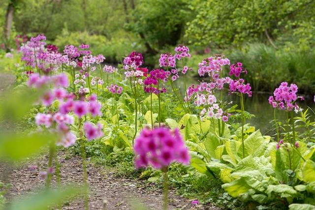 Fairhaven Woodland & Water Garden