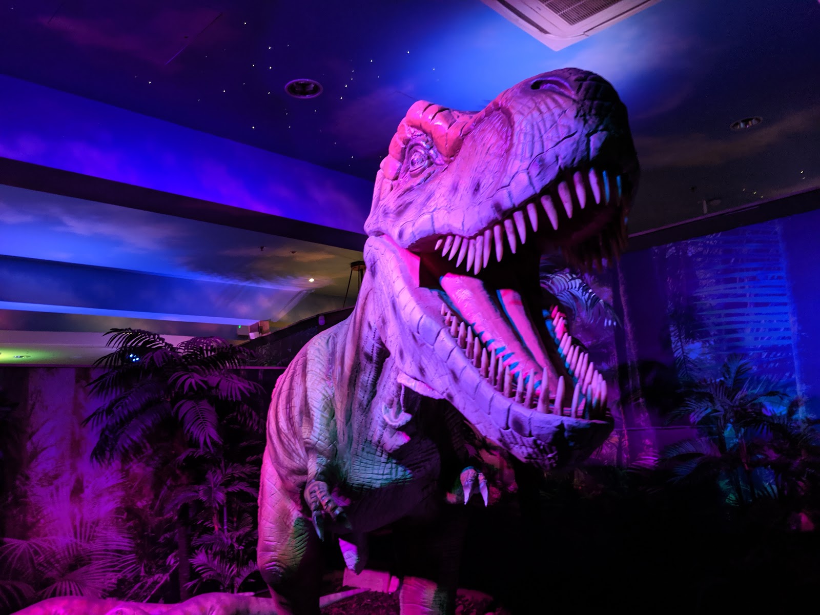 Jurassic Journey