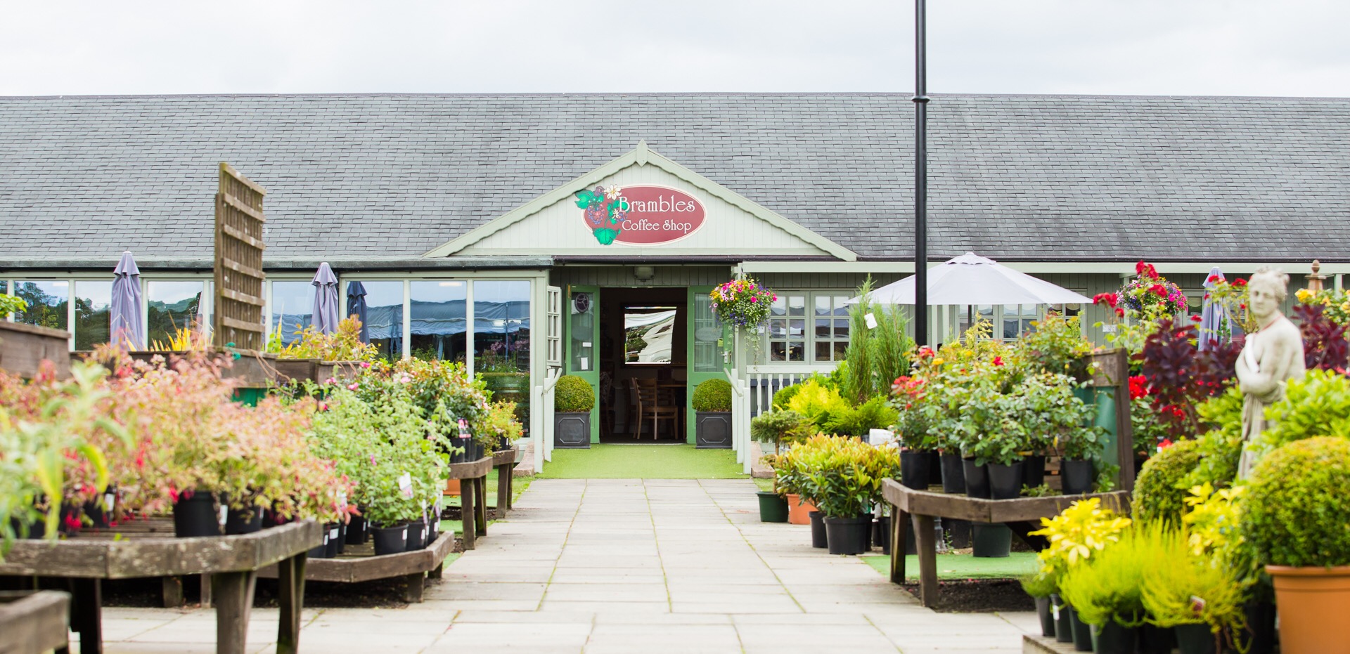 Poplar Tree Garden Centre & Coffee Shop