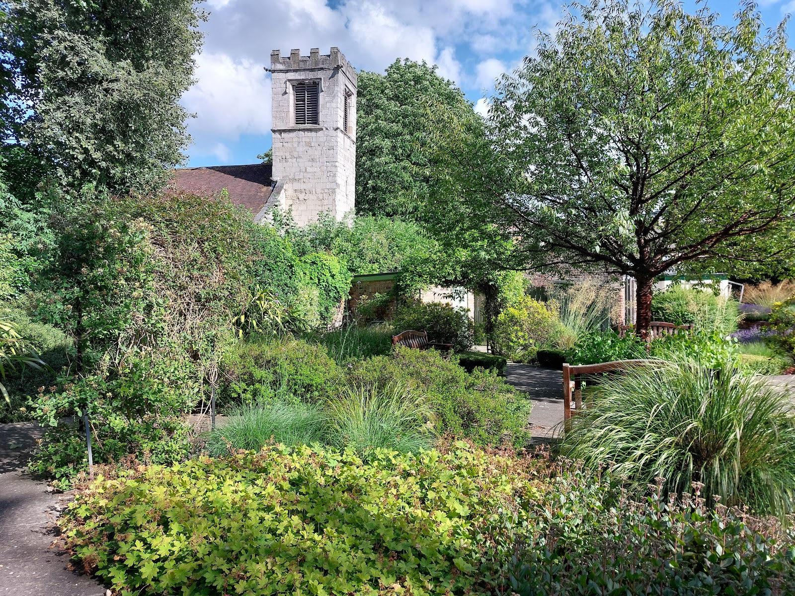 St Anthonys Garden
