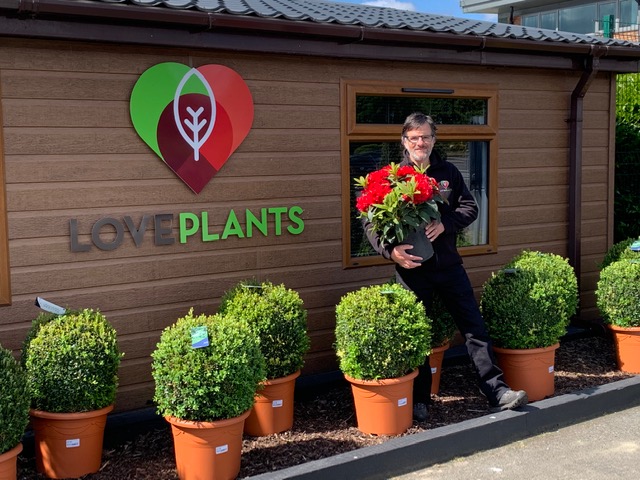 Love Plants