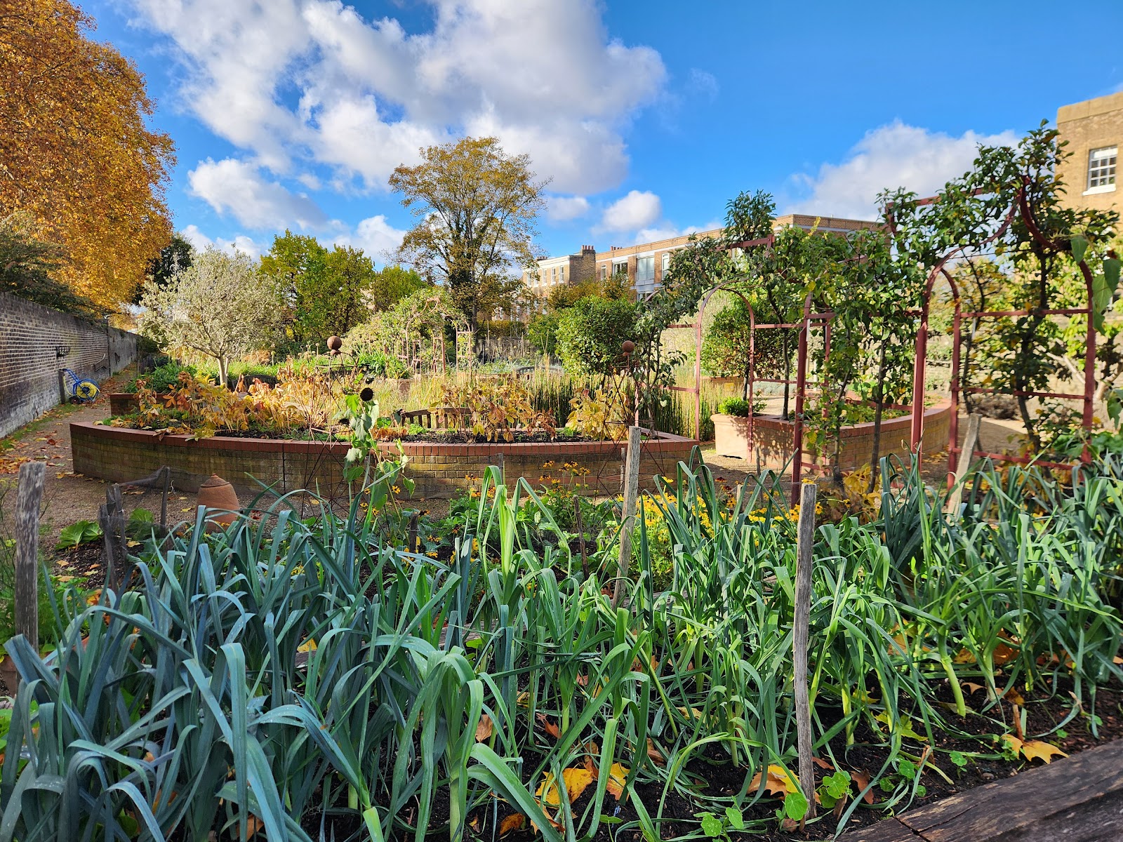 The Queens Orchard