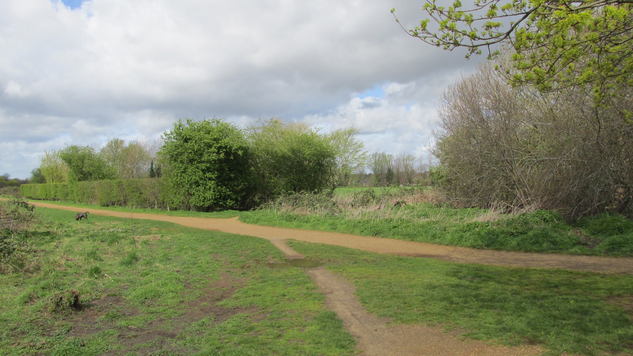 Elthorne Triangles Orchard