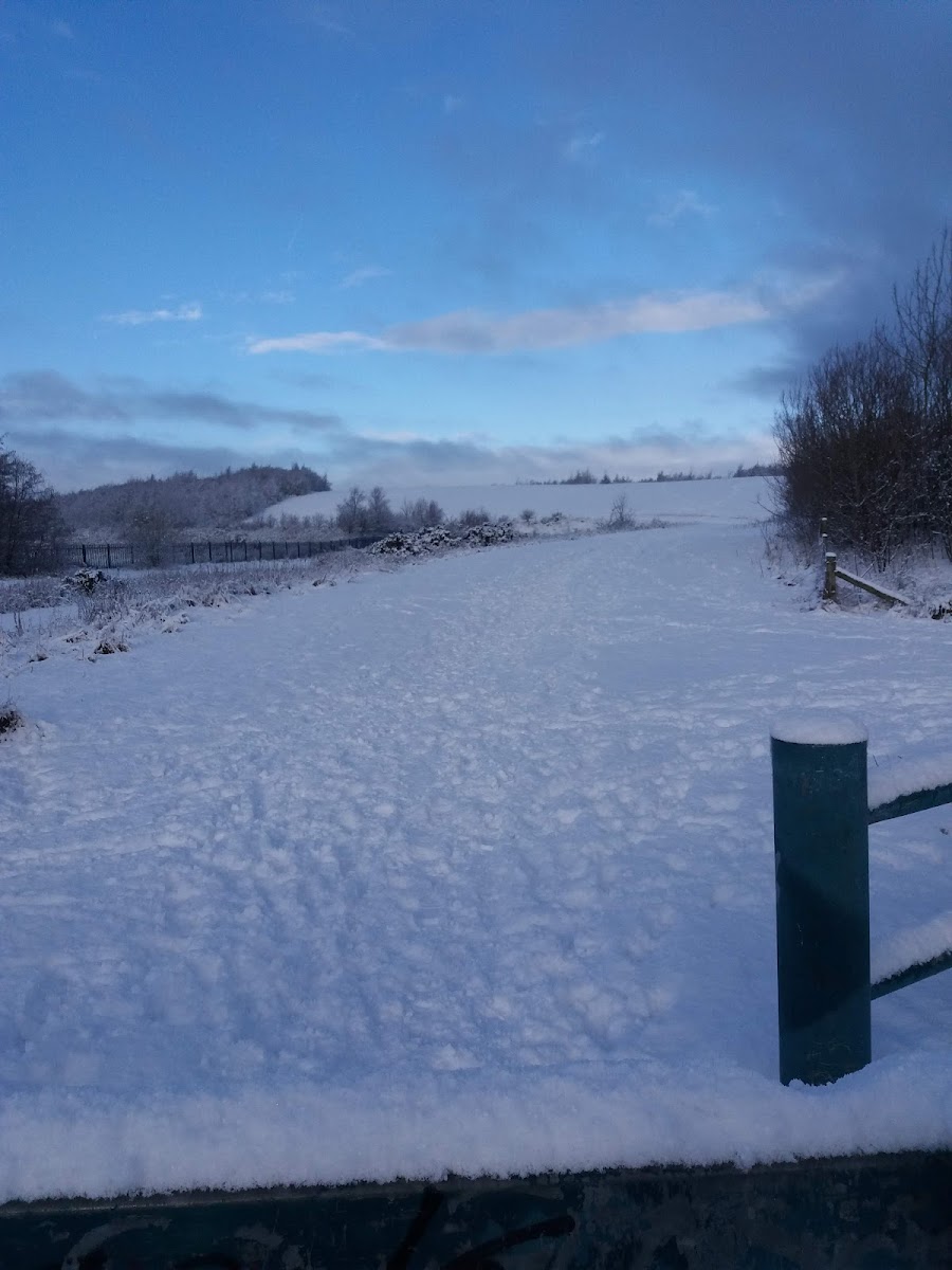 South Wardley Farm