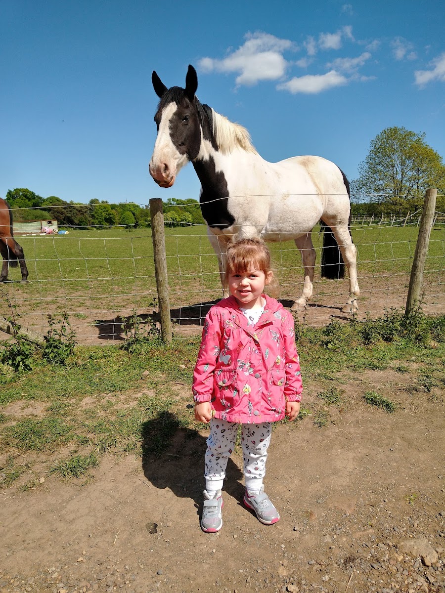 Ormesby Grange Farm