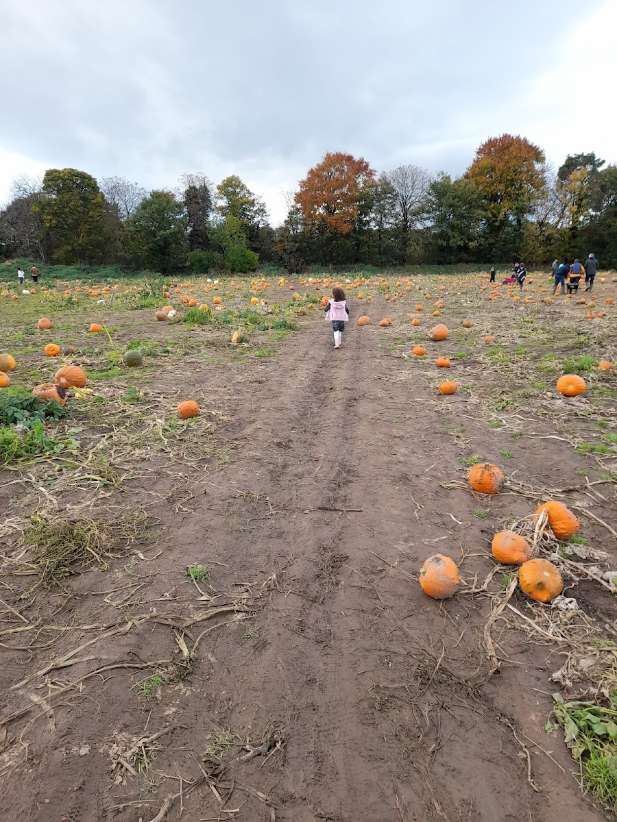 Baydale Farm