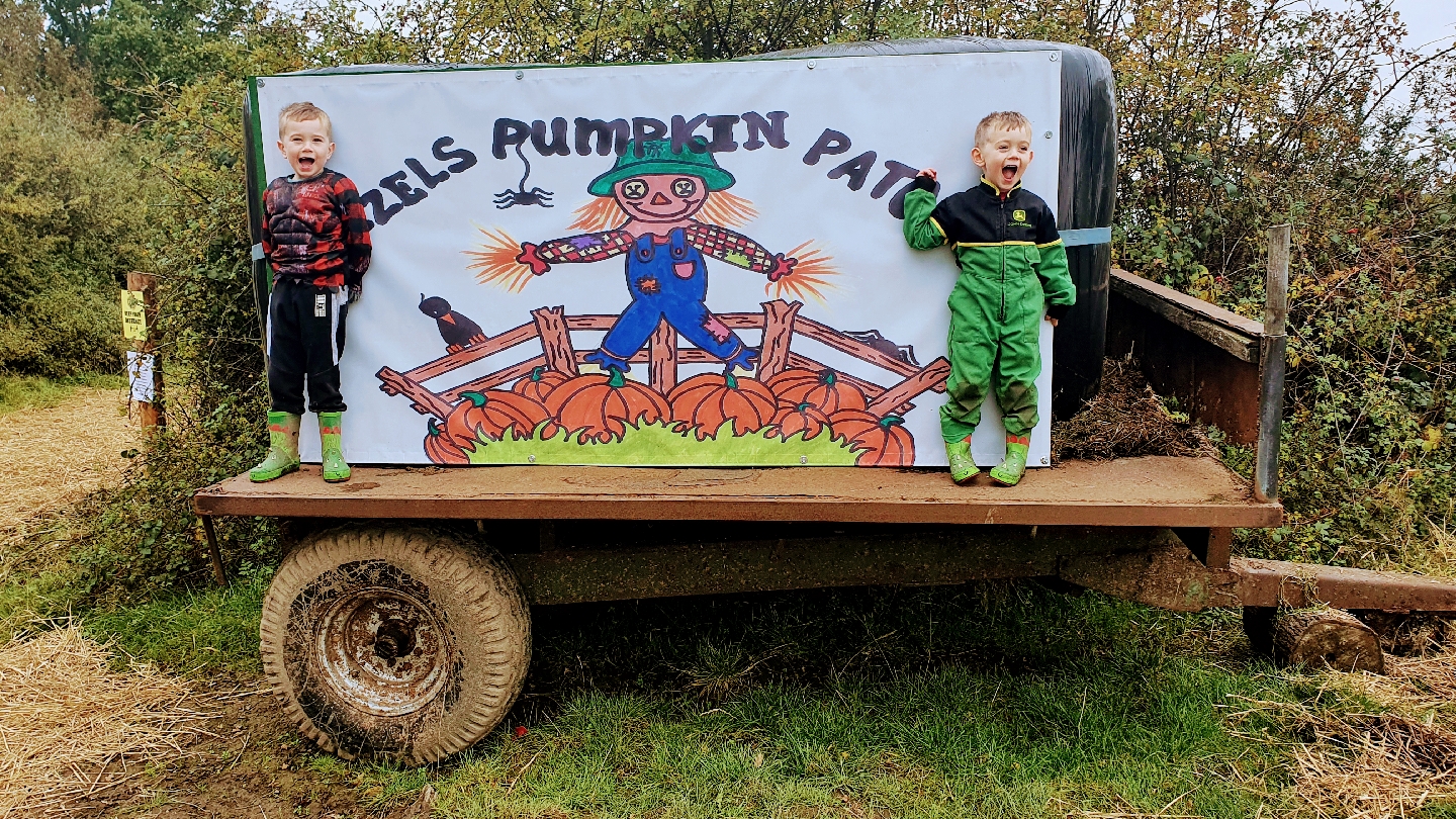 Wurzels Pumpkin Farm
