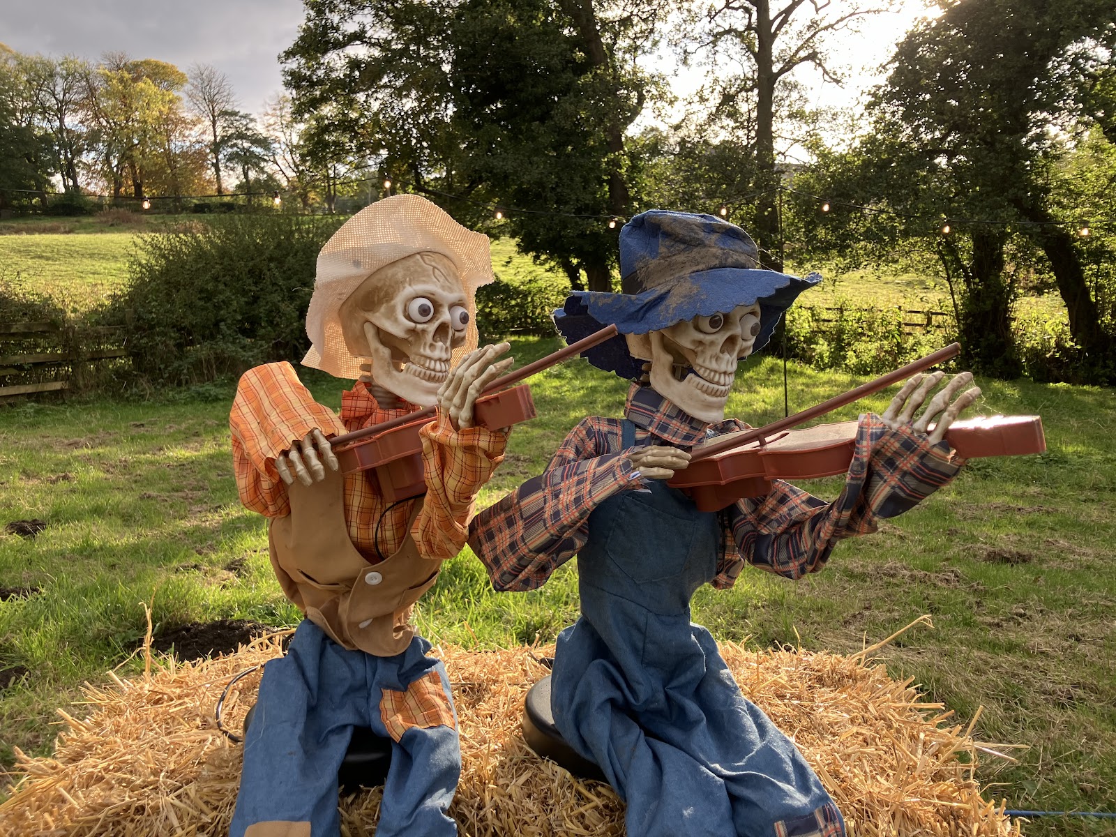 Brookleigh Pumpkins