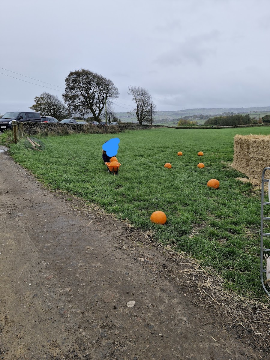 Upper Shay Farm