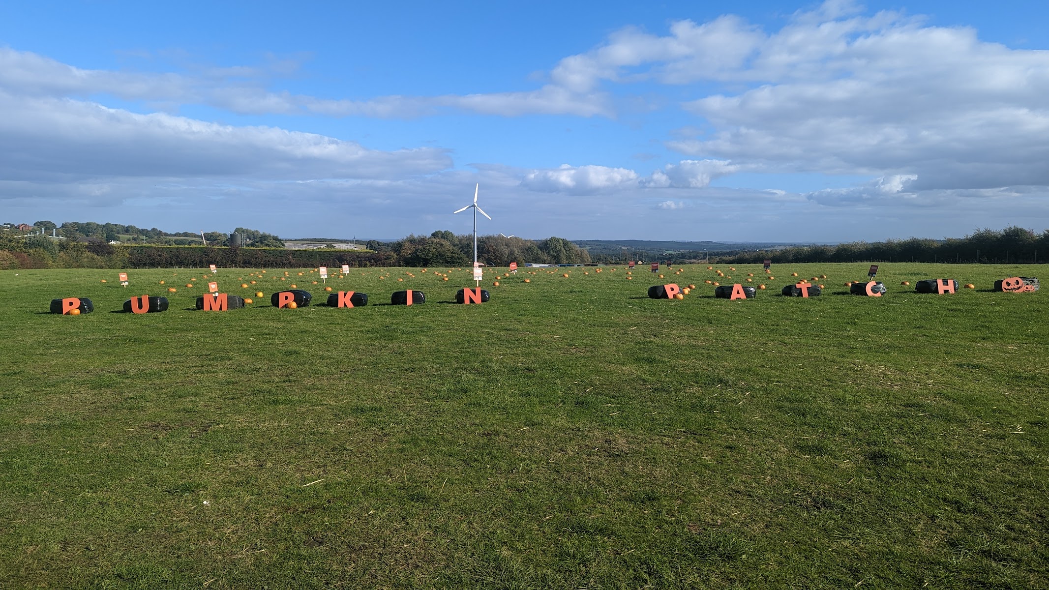 Grange Moor A-Maize-ing Maze