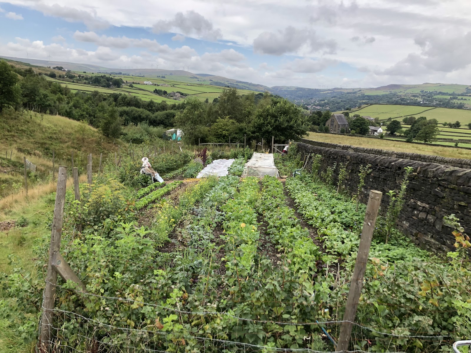 Incredible Farm