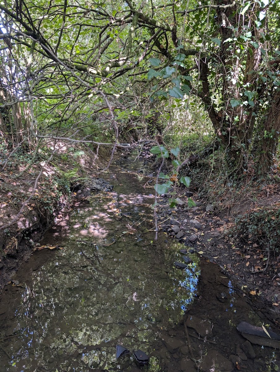 Ouzlewell Community Orchard