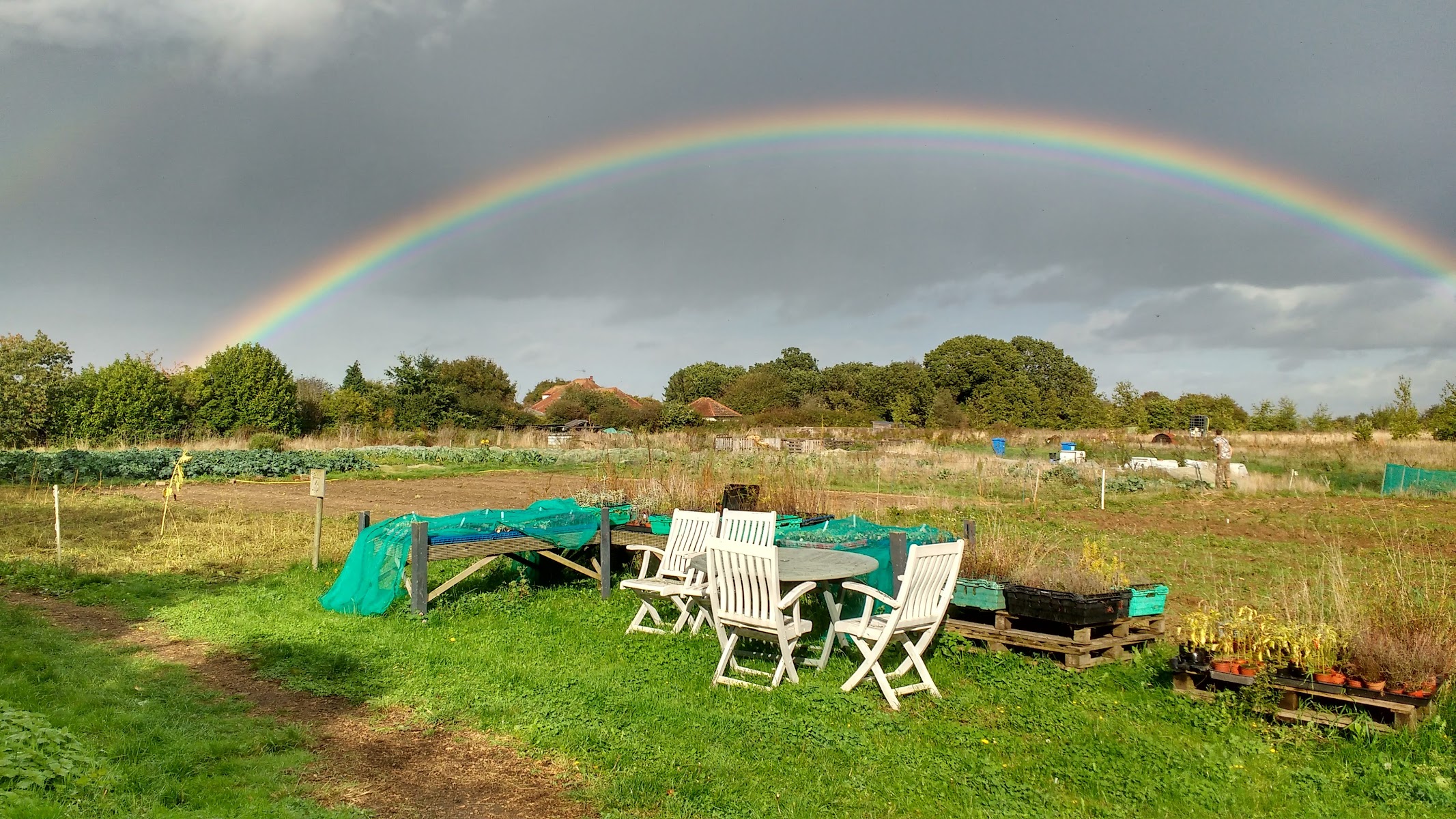 The Oak Tree Community Farm