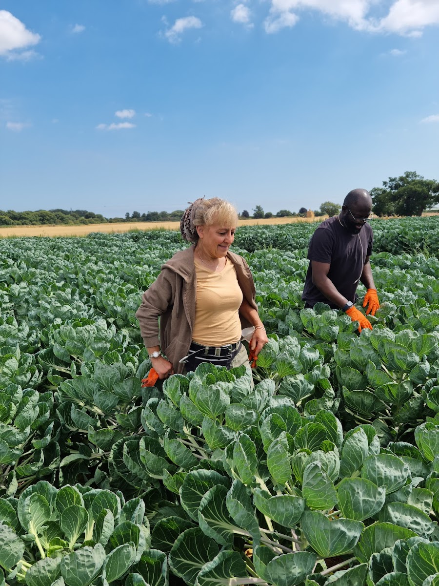 Home Farm Nacton