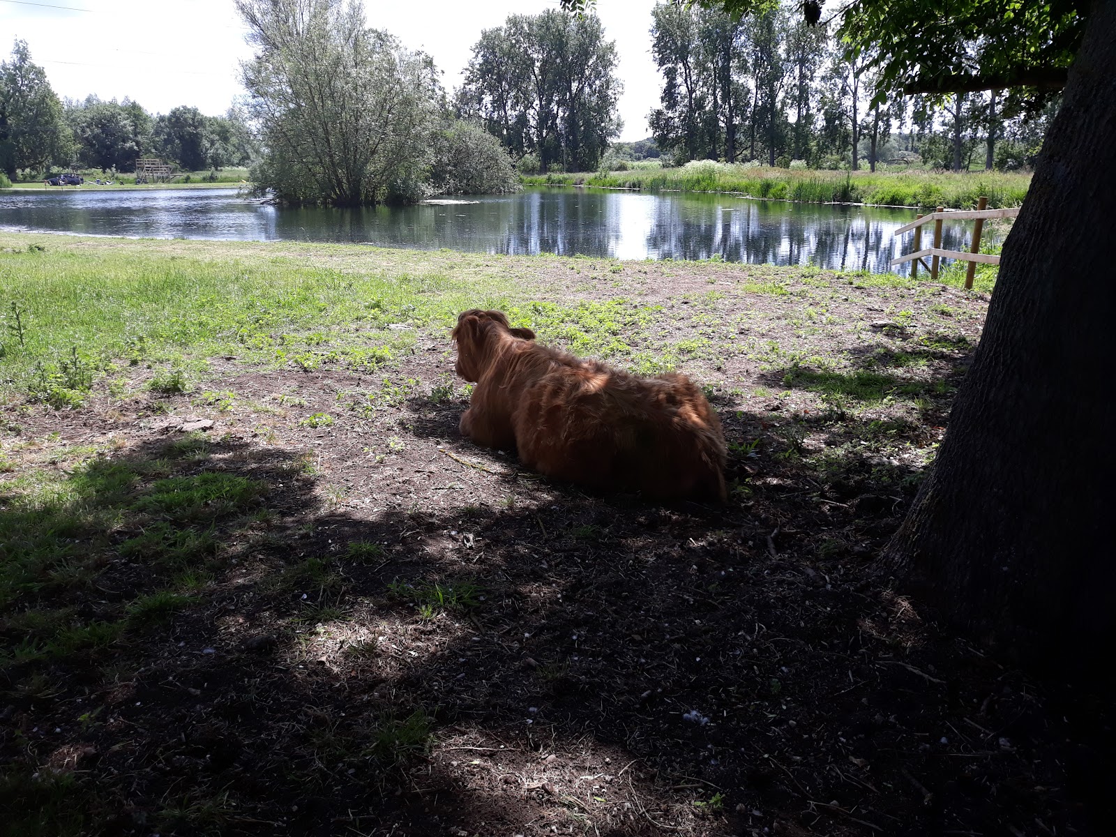 Riverside Farm
