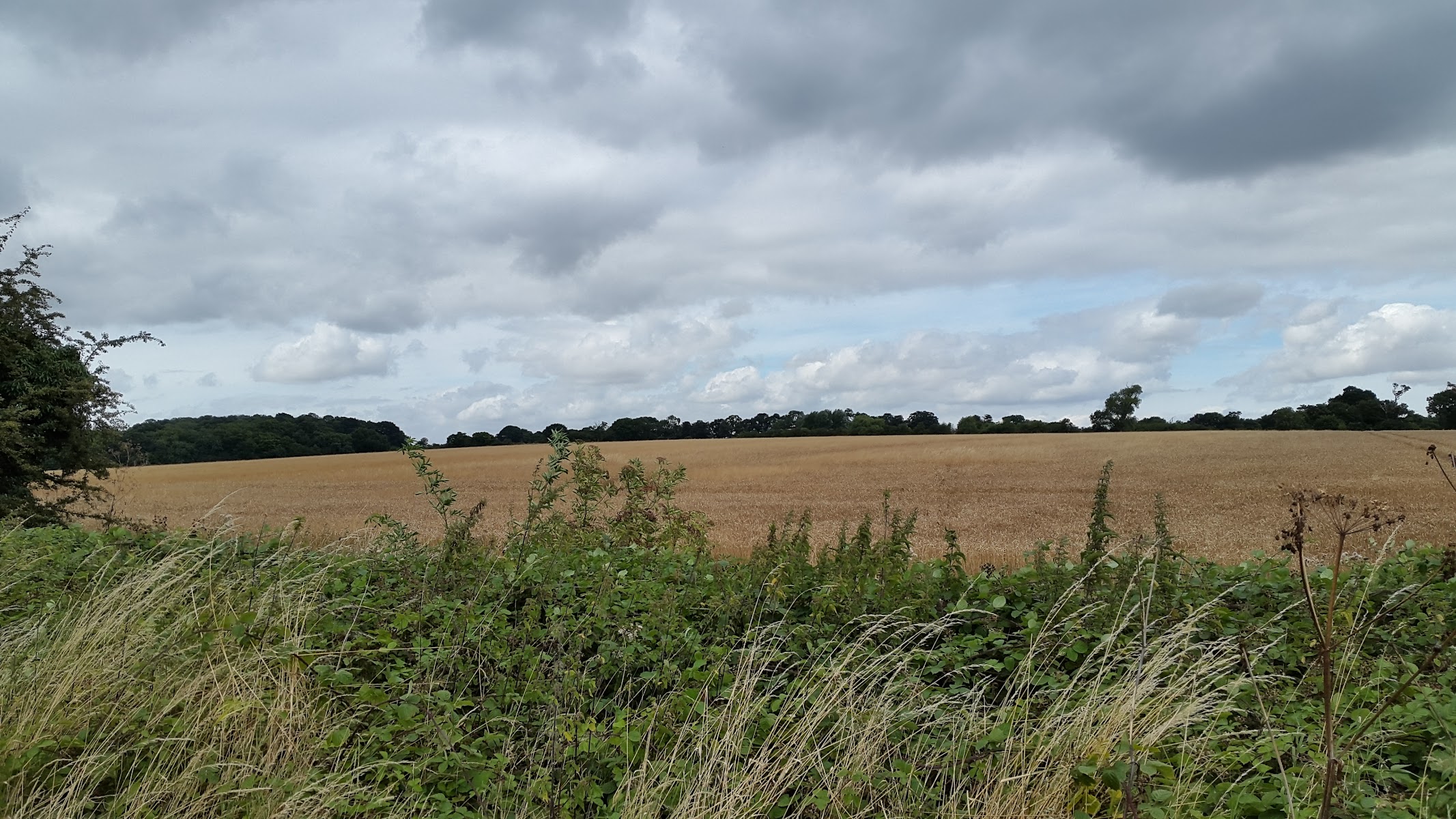 Blatches Farm