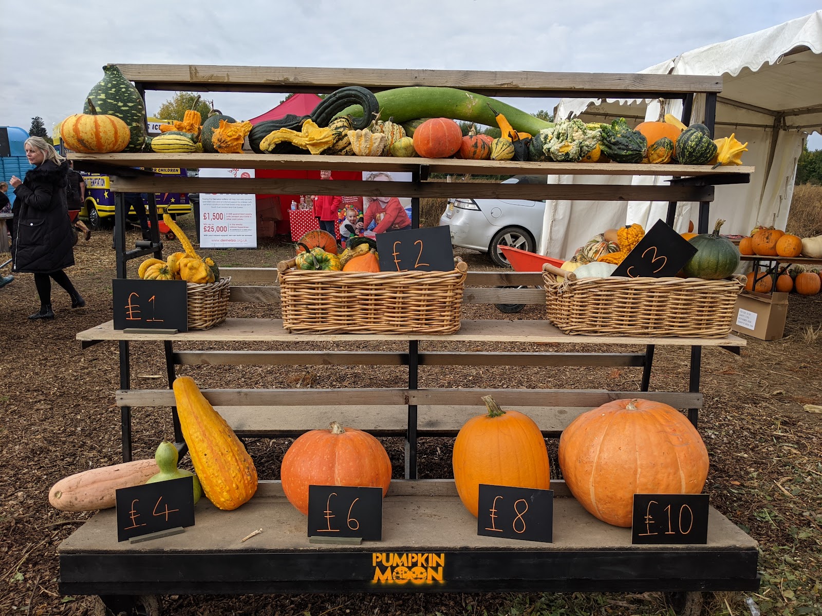 Pumpkin Moon - Rainham, PYO Pumpkins