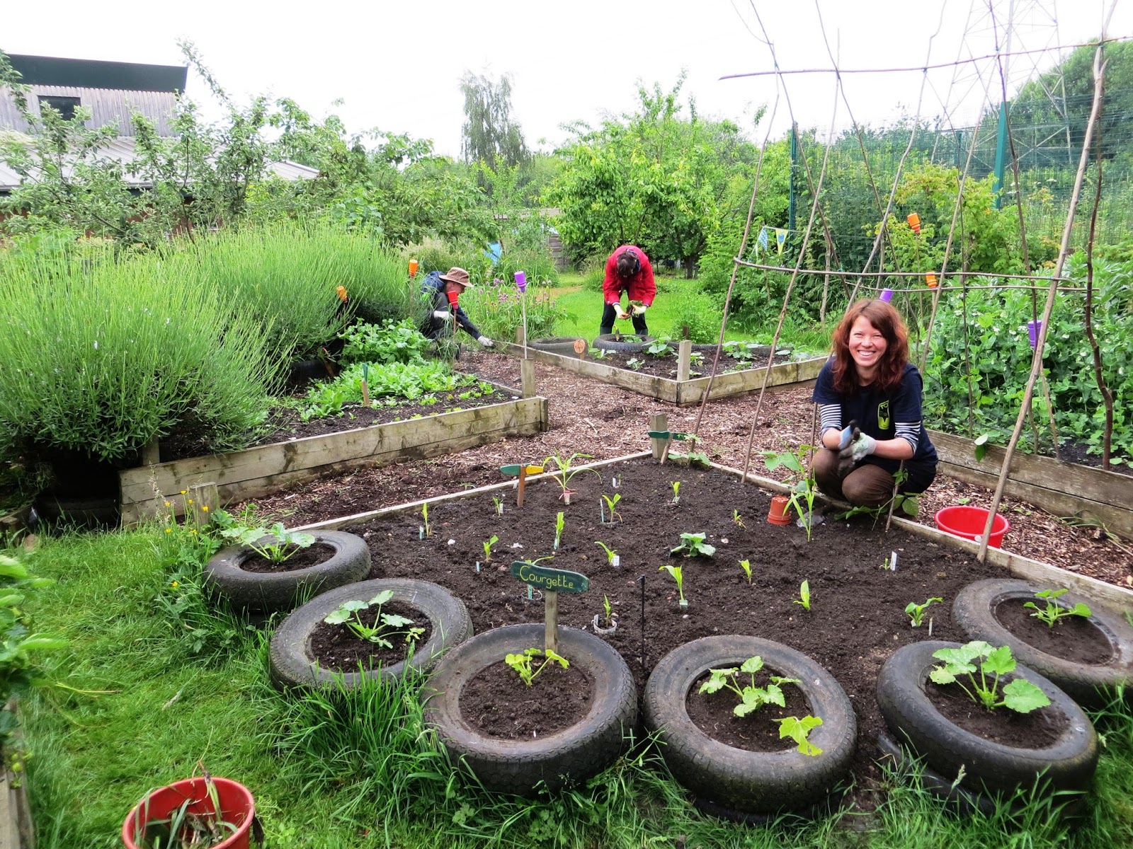 TCV Skelton Grange