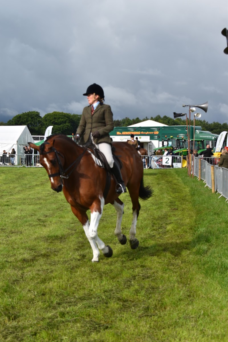 The Cumberland Show