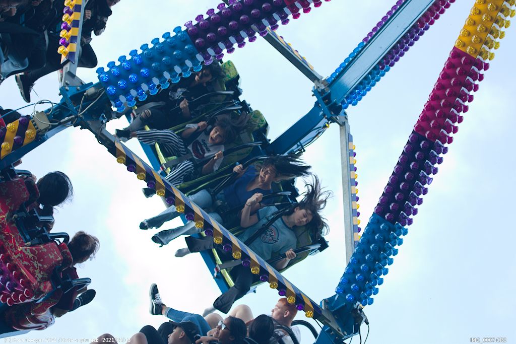 Beeston Festival