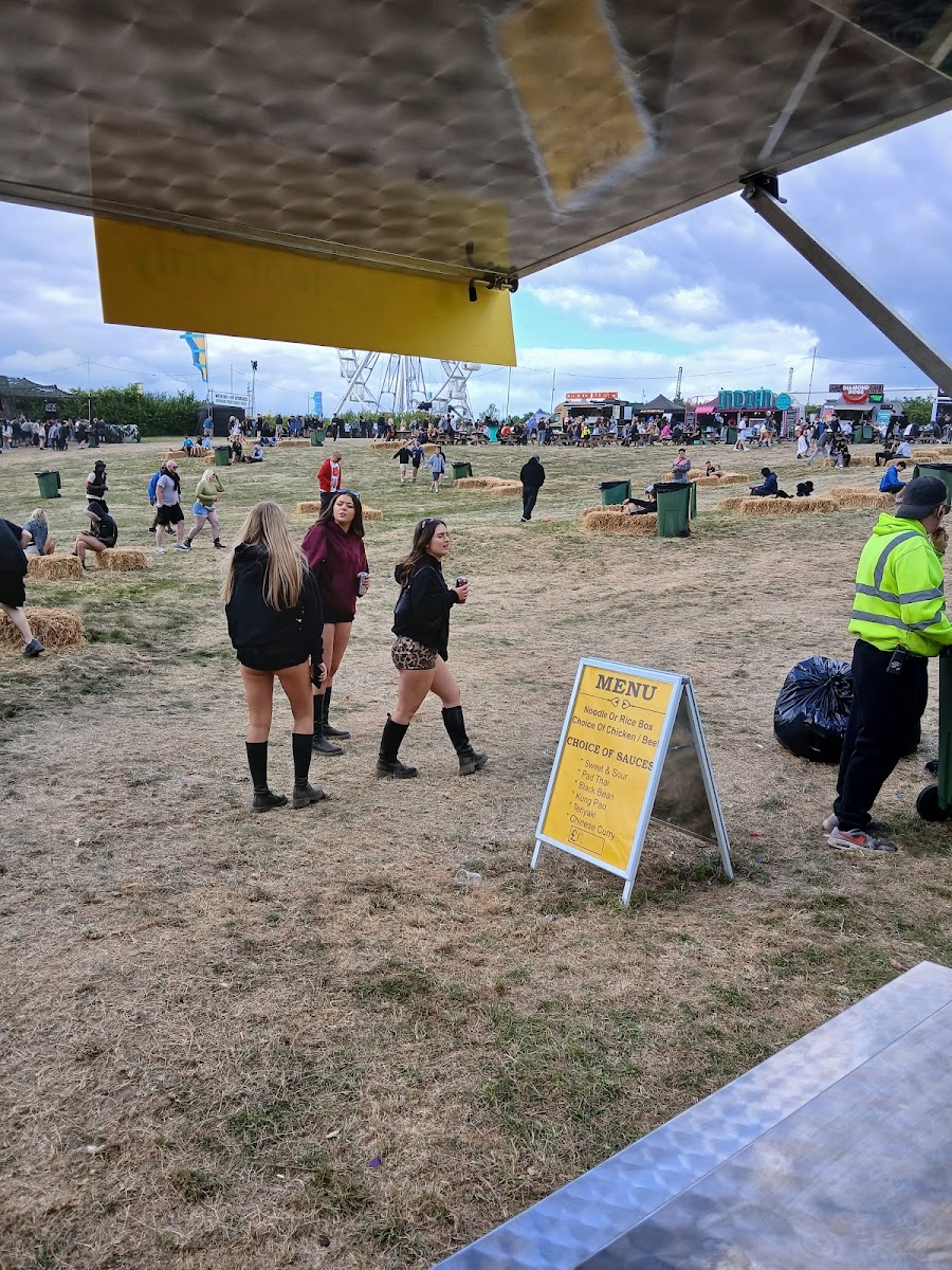 MINT Festival