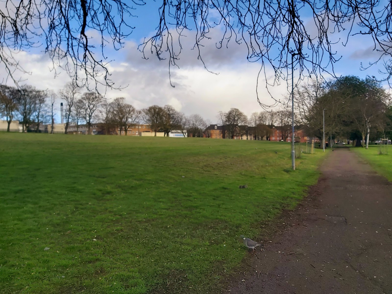 Beckets Park
