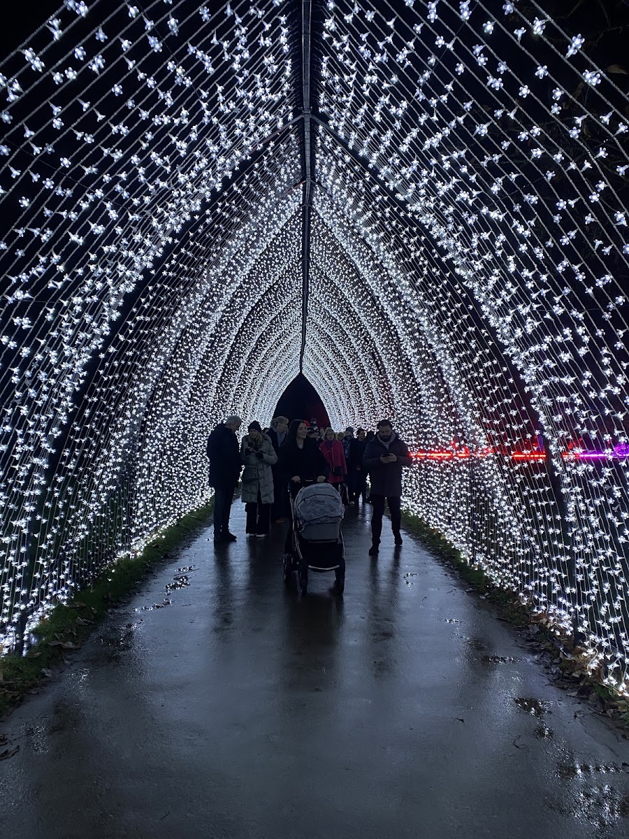 Christmas at Kew
