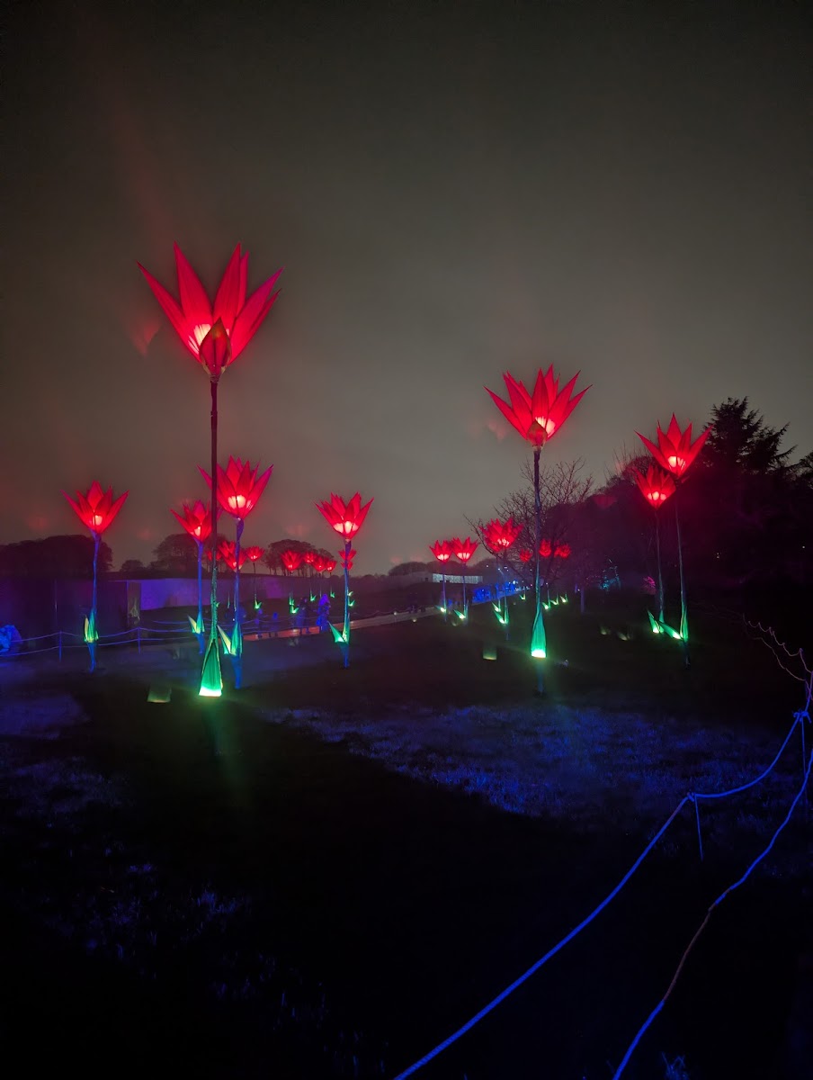 Northern Lights Leeds