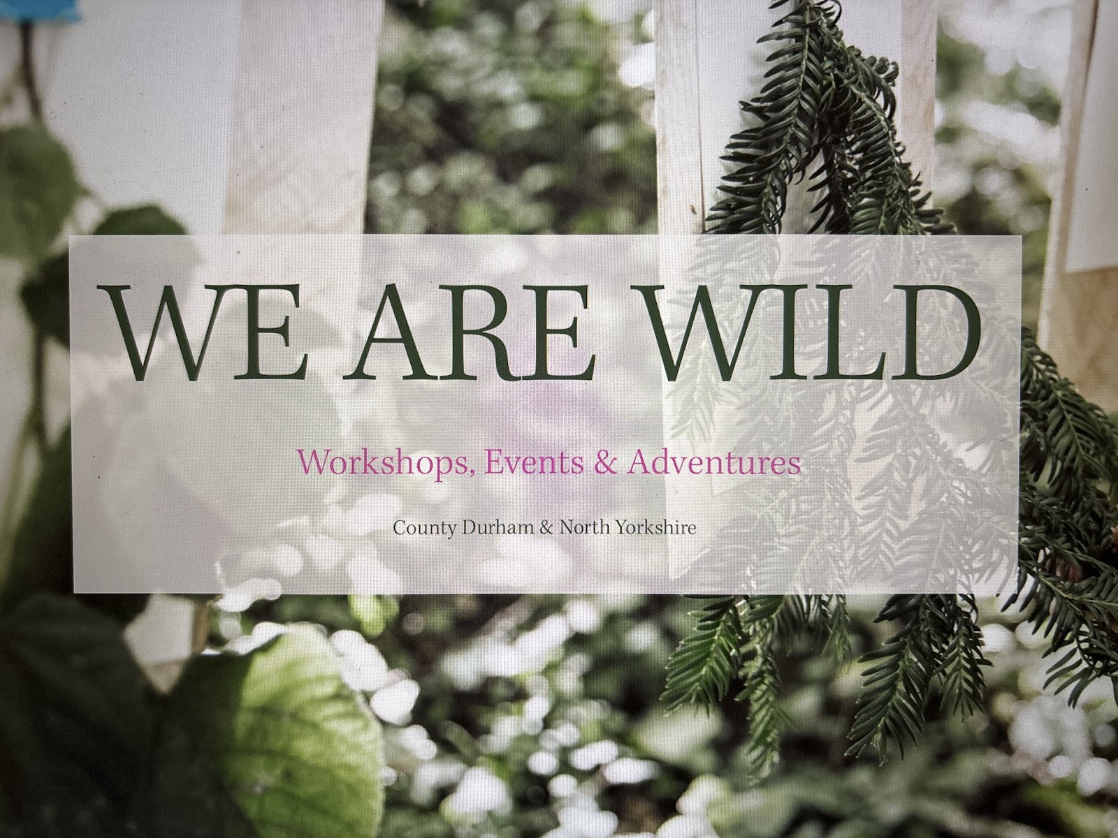We Are Wild
