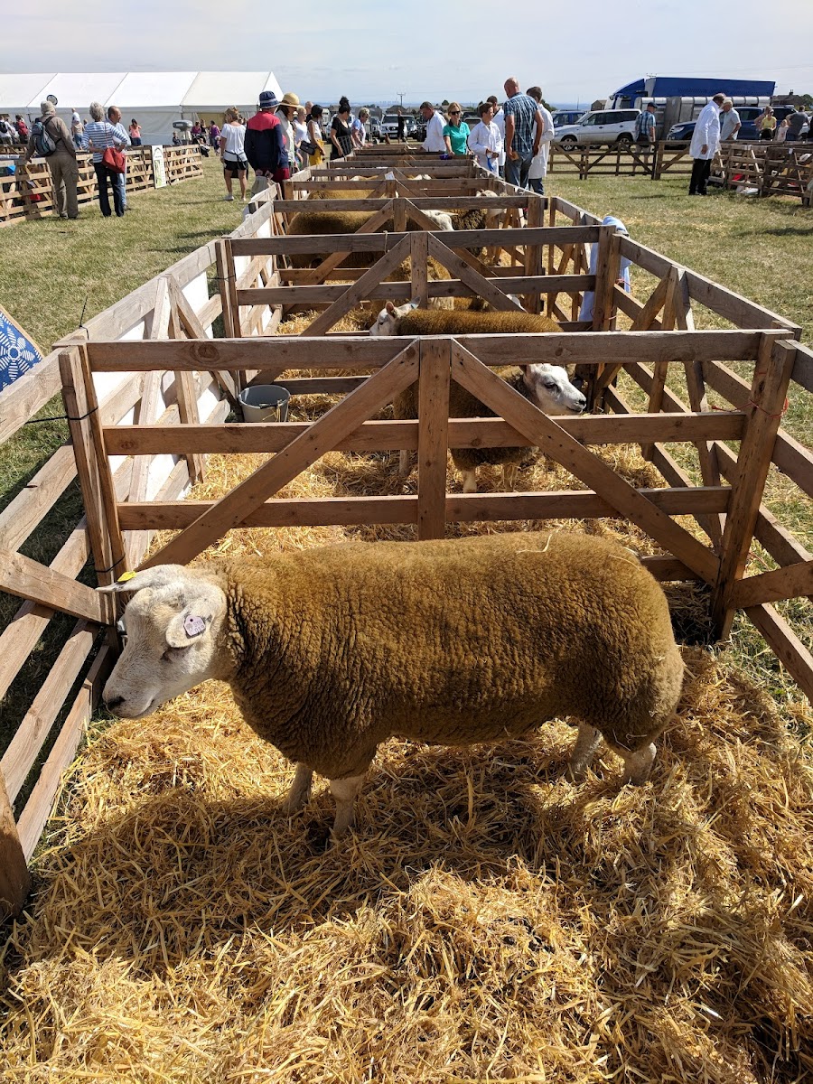 Emley Show