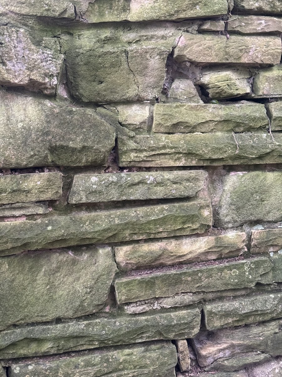 Ancient Medieval Wall
