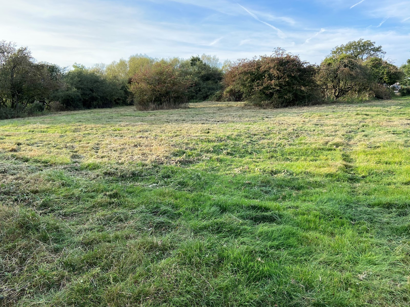 School Farm