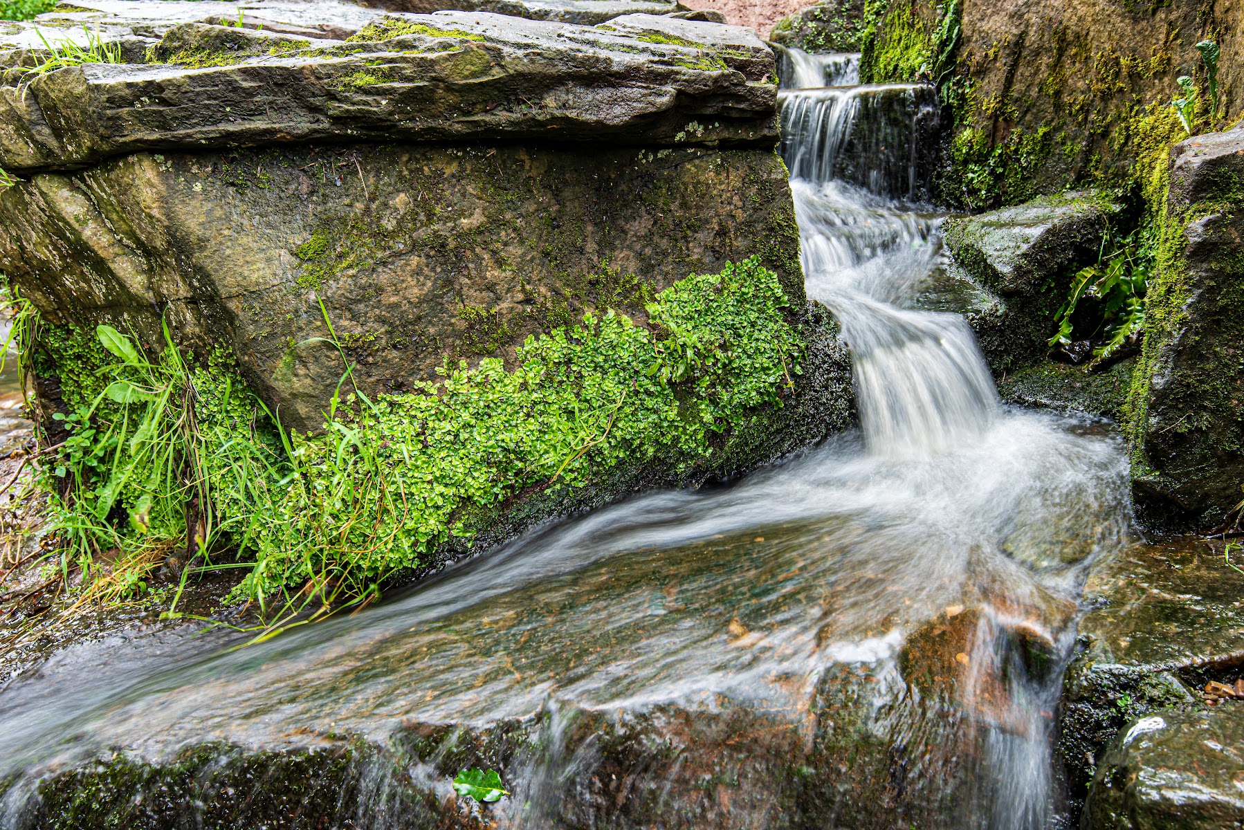 Delph Waterfall And Nature Trail