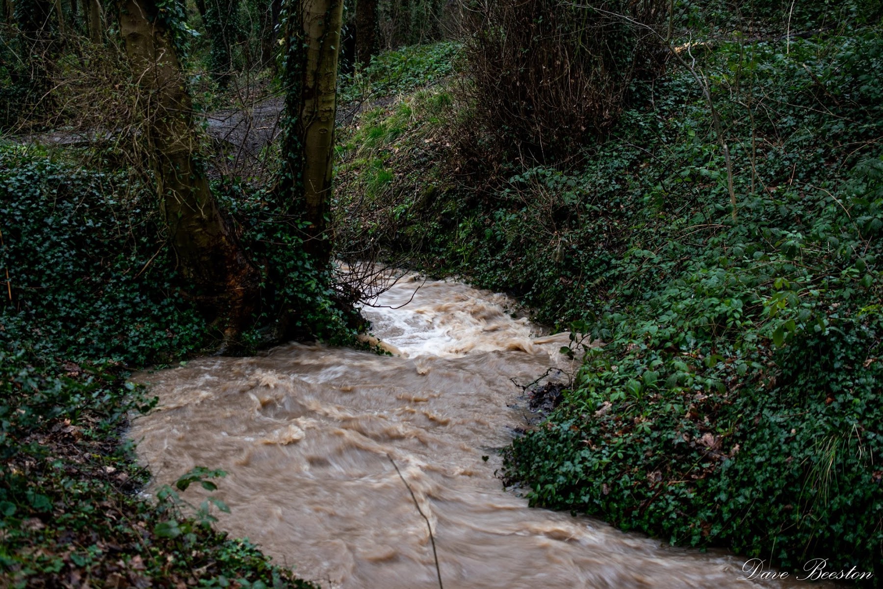 Elmers Clough