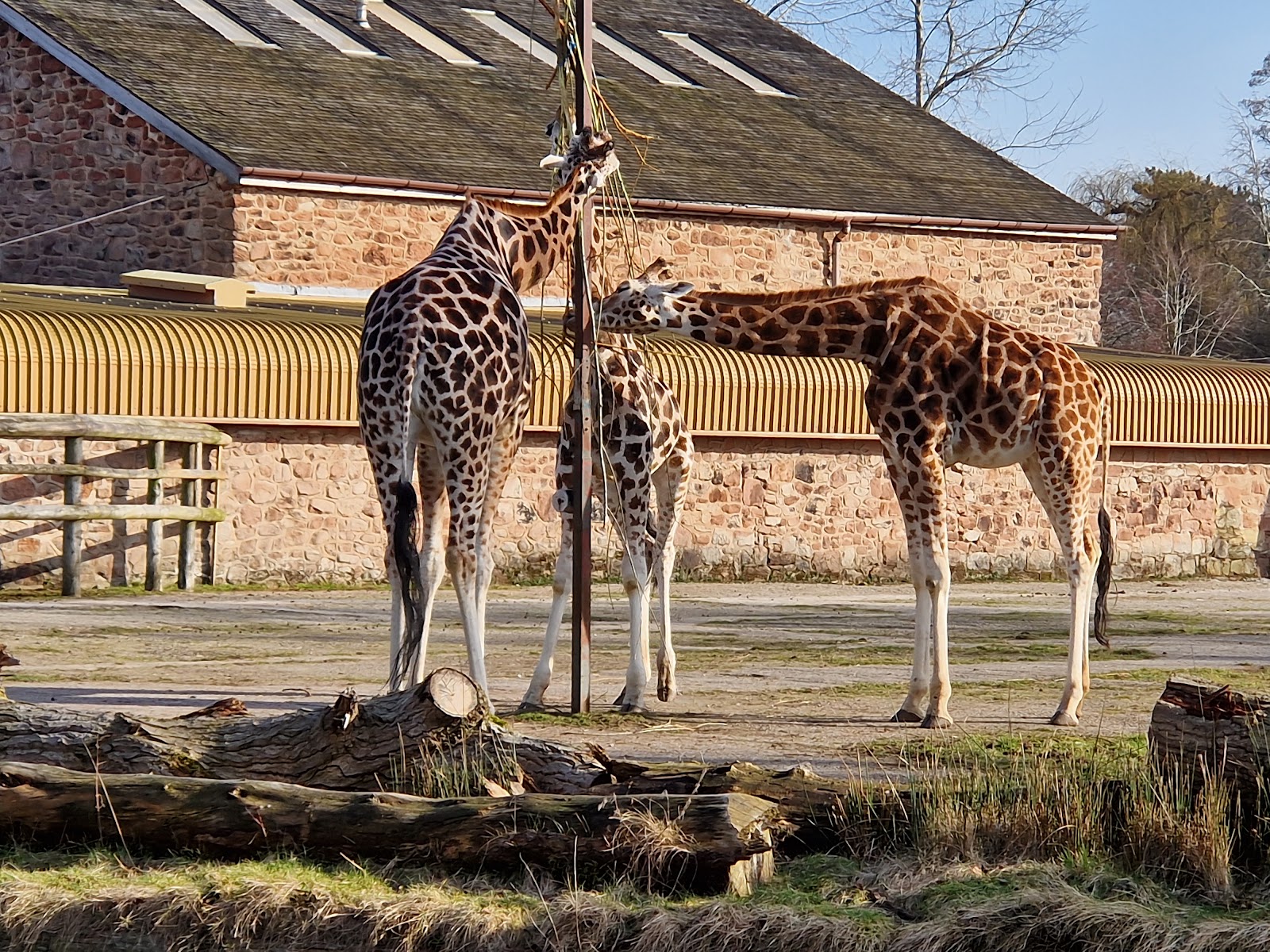 The Islands at Chester Zoo