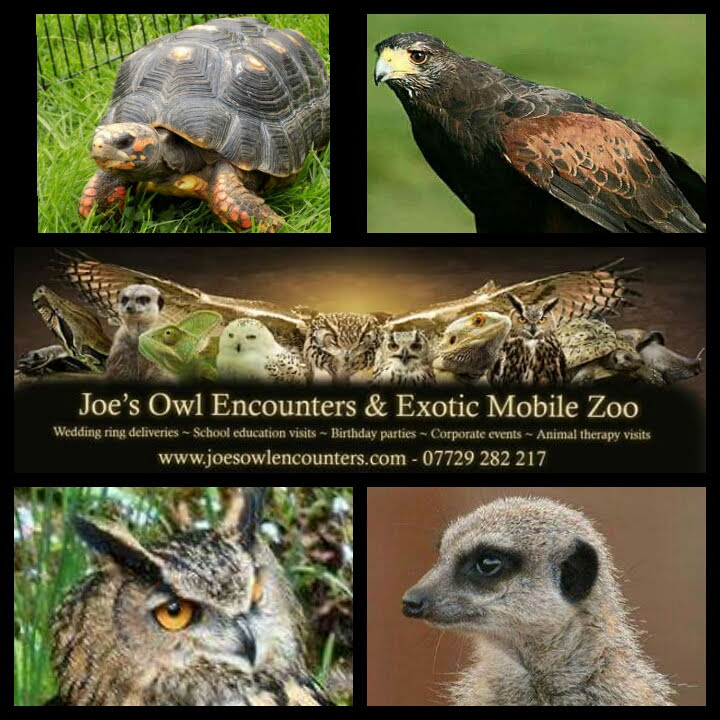 Joe's Owl Encounters & Exotic Mobile Zoo