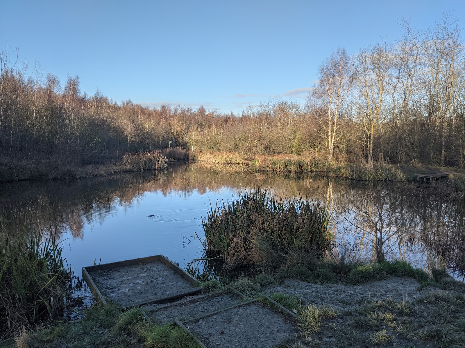 Lofthouse Colliery Nature Park