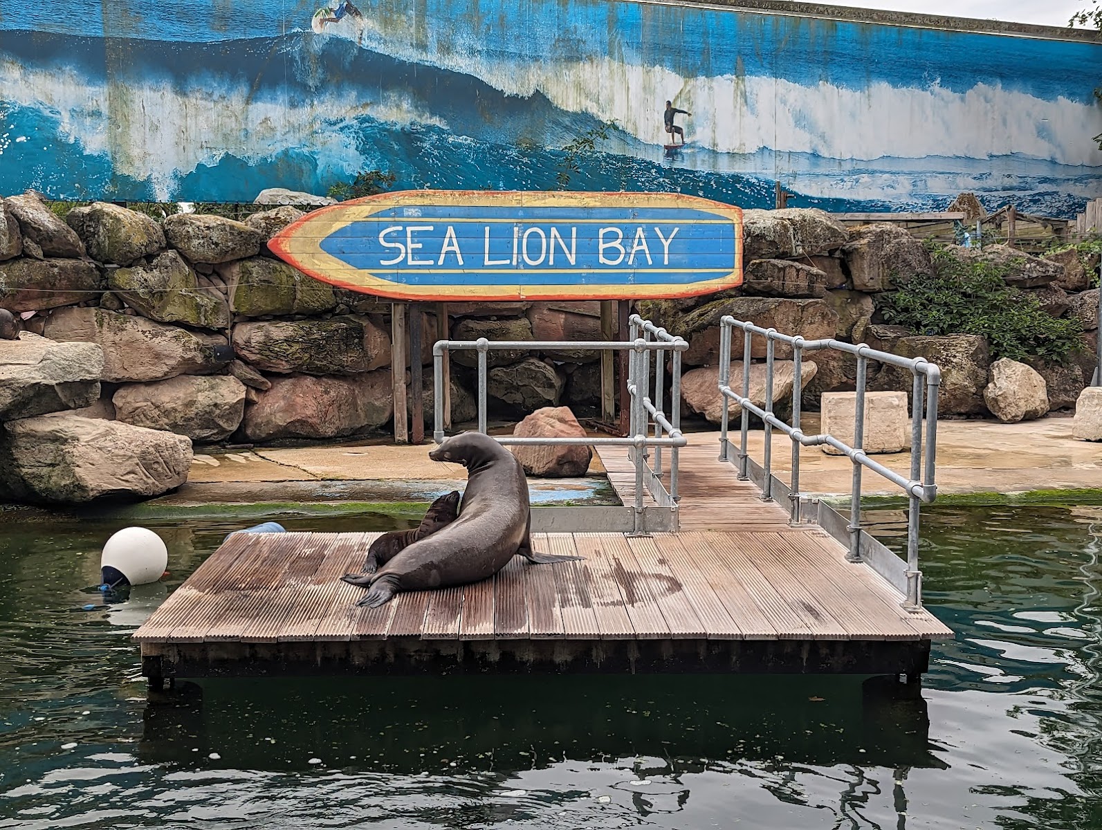 Sea Lion Bay