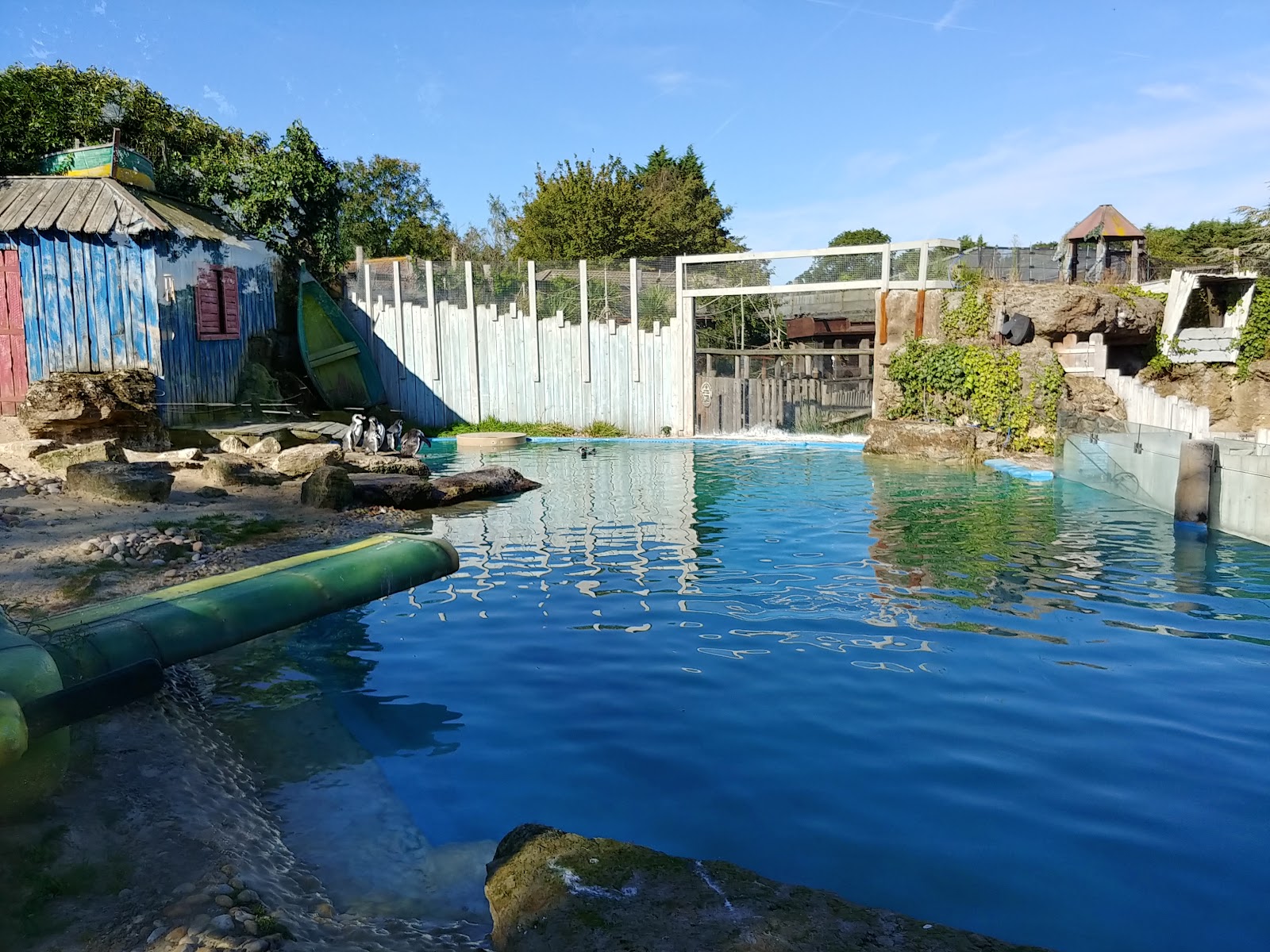 Penguin Bay