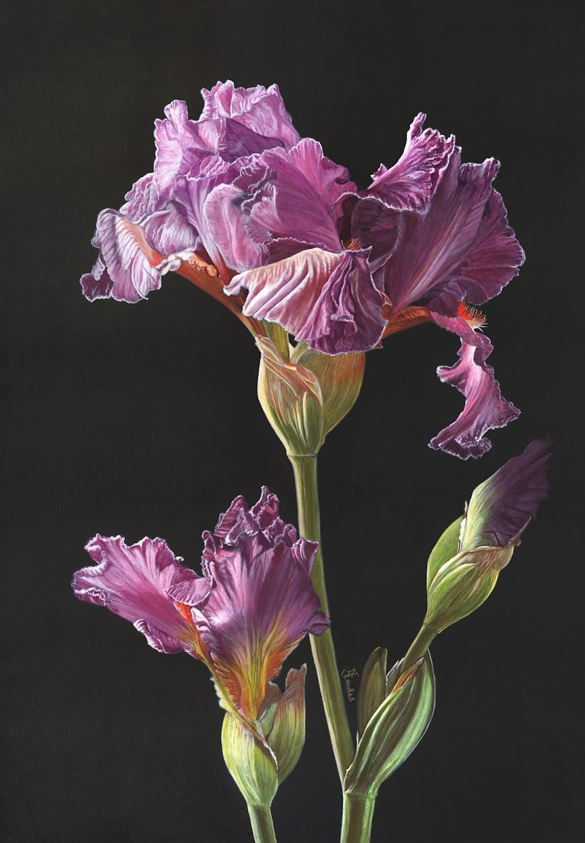 Mark Holiday Art Lessons