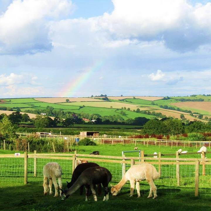 Chew Valley Animal Park